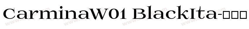 CarminaW01 BlackIta字体转换